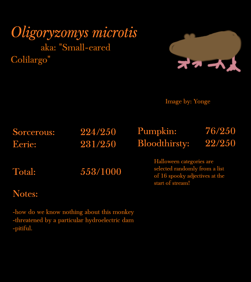 Oligoryzomys microtis